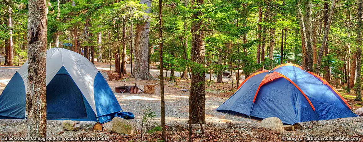 Blackwoods Campground Campsite