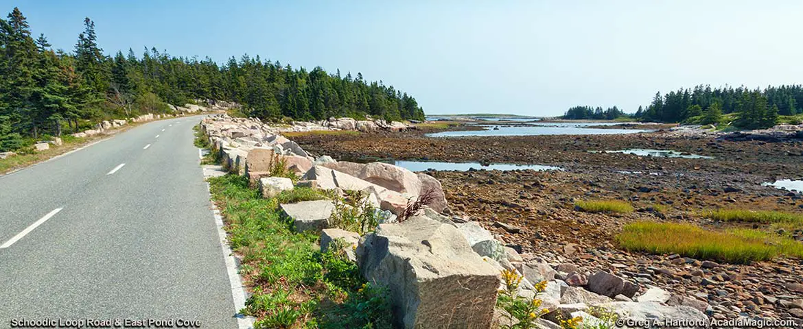 East Pond Cove at Schoodic Peninsula in Acadia National Park