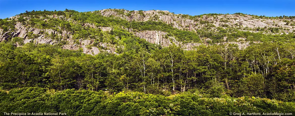 The Precipice in Acadia National Park