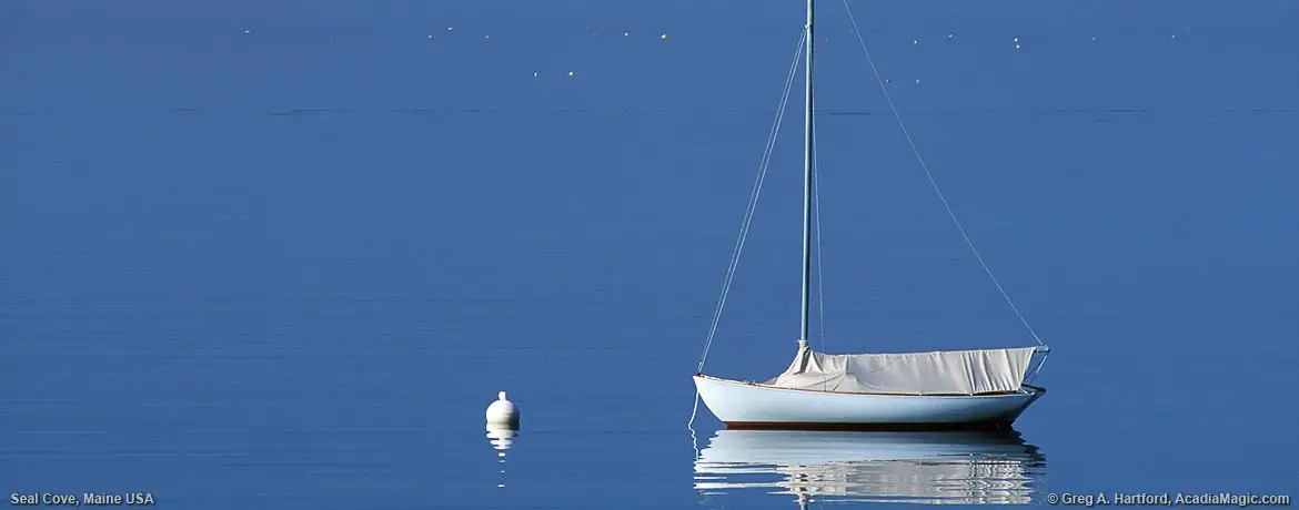 Day sailer in calm harbor