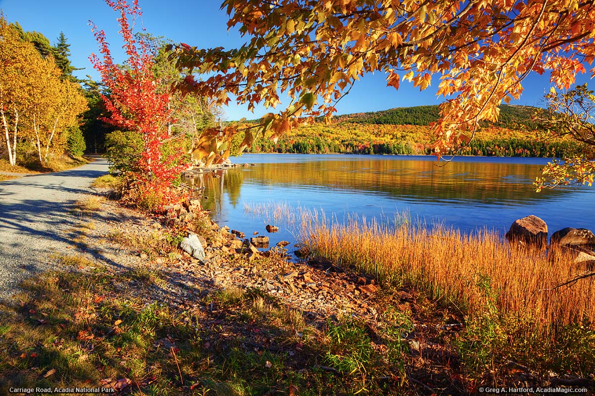 Autumn at Eagle Lake in Acadia National Park