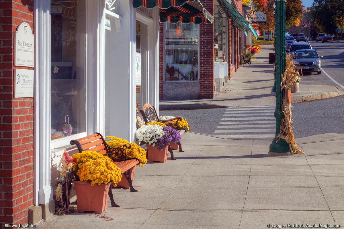 Flowers and benches on Main Street in Ellsworth, Maine