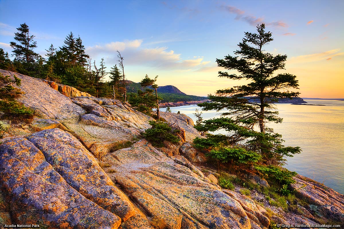 A close up view of Otter Cliff in Acadia National Park