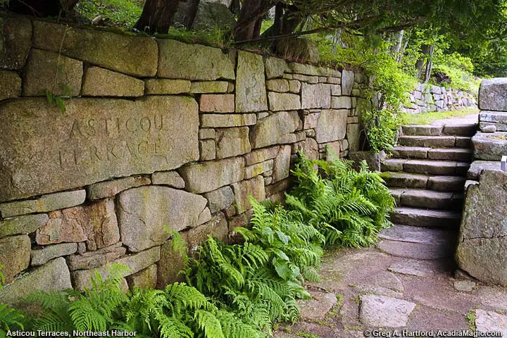 Stone steps of Asticou Terrace leading to Thuya Garden