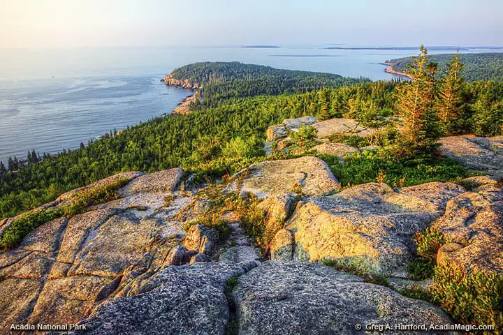 Gorham Mountain view of Otter Cliff in Acadia