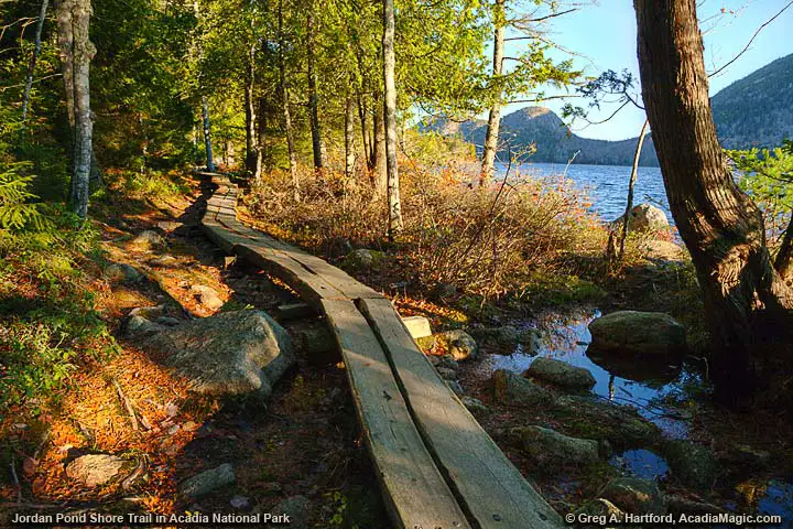 The boardwalk of Jordan Pond Trail in Acadia