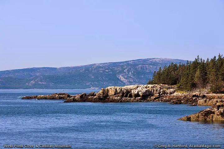 West View of Cadillac Mountain at West Pond Cove