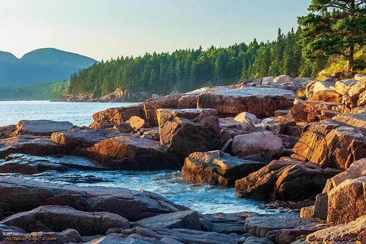 Otter Point and Otter Cove in Acadia
