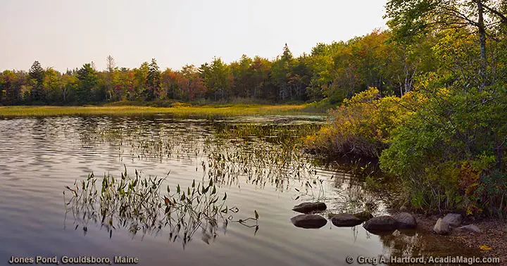Jones Pond in Gouldsboro, Maine