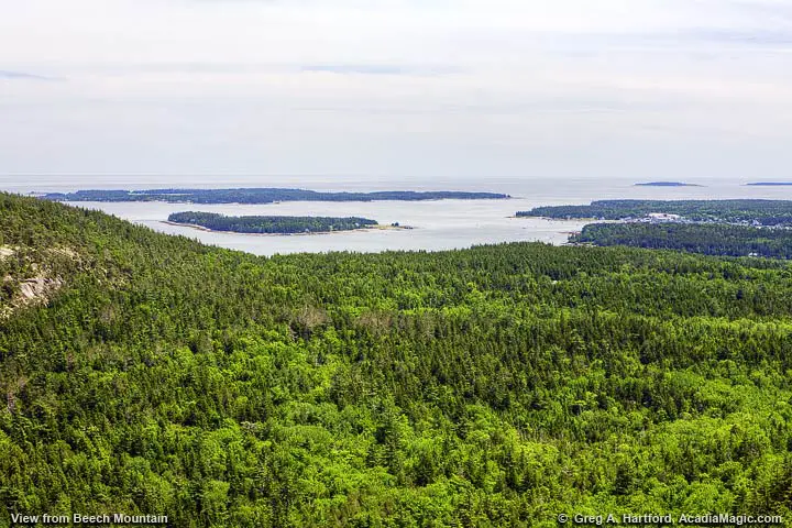 Greening Island and Great Cranberry Island seen from Beech Mountain