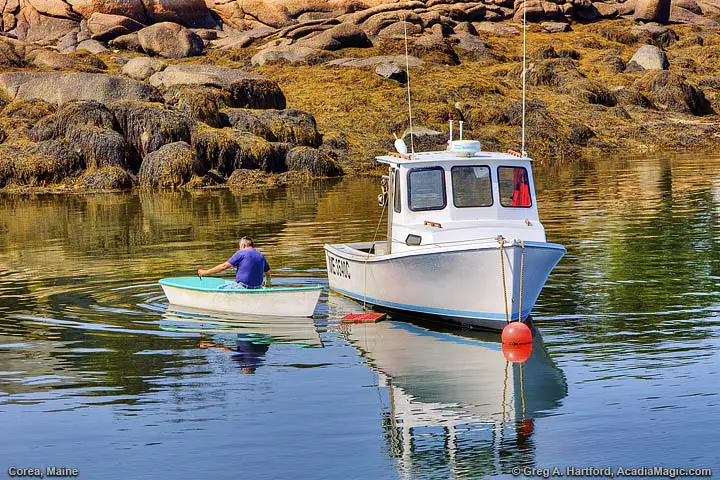 Fisherman rows dinghy to lobster boat