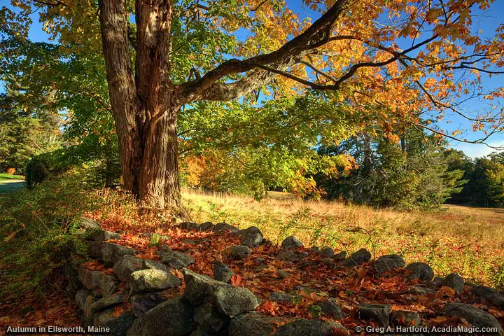 Autumn in Ellsworth, Maine