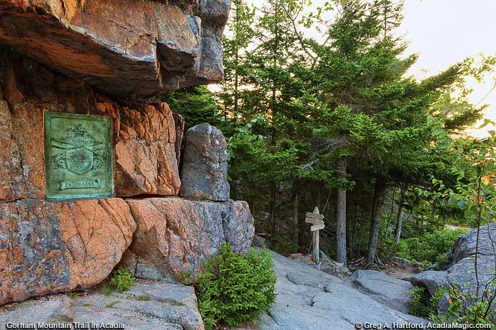 The Waldron Bates Memoriam on Gorham Mountain in Acadia National Park