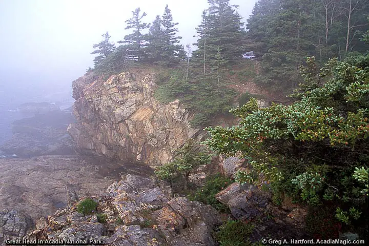 Southern end of Gread Head during thick fog