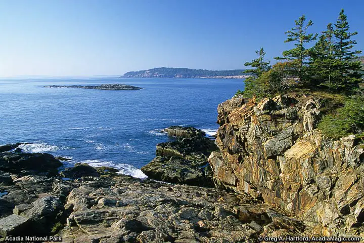 View of Otter Cliff from Great Head Trail in Acadia National Park