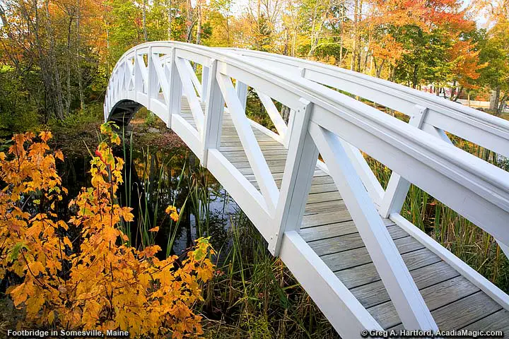 Footbridge with autumn leaves