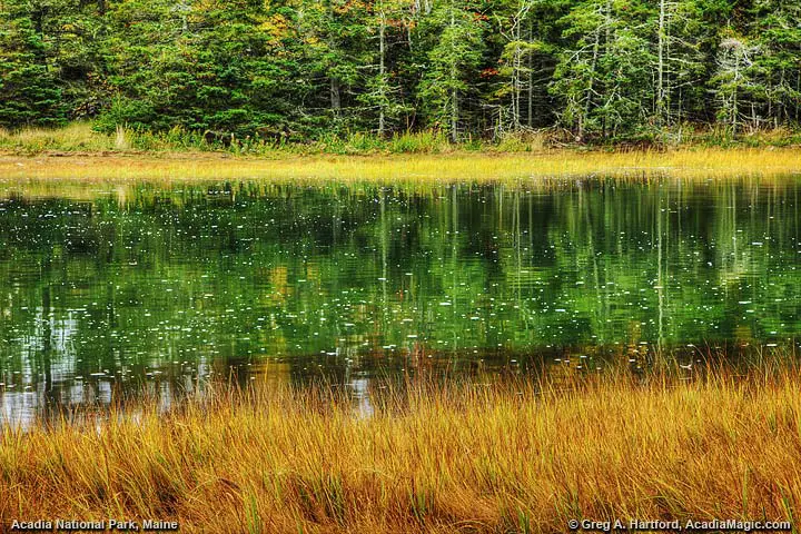 Autumn at Thompson Island in Trenton, Maine in Acadia