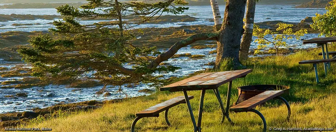 Acadia National Park Picnic Area