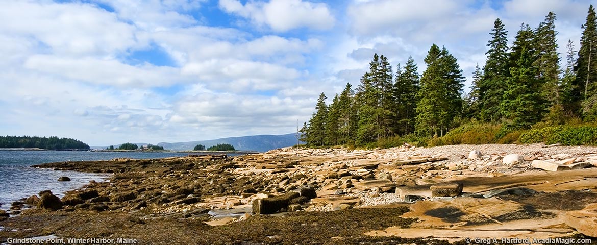 Grindstone Point in Winter Harbor, Maine