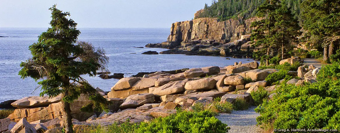 Ocean Path near Otter Cliff in Acadia