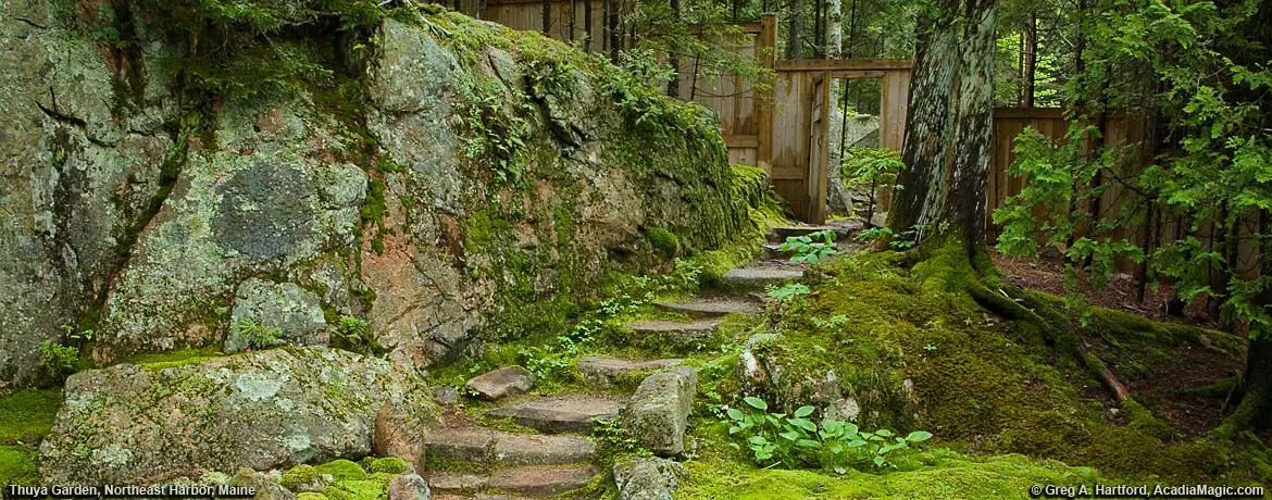 Stone steps leading to Eliot Mountain hiking trail in Acadia National Park