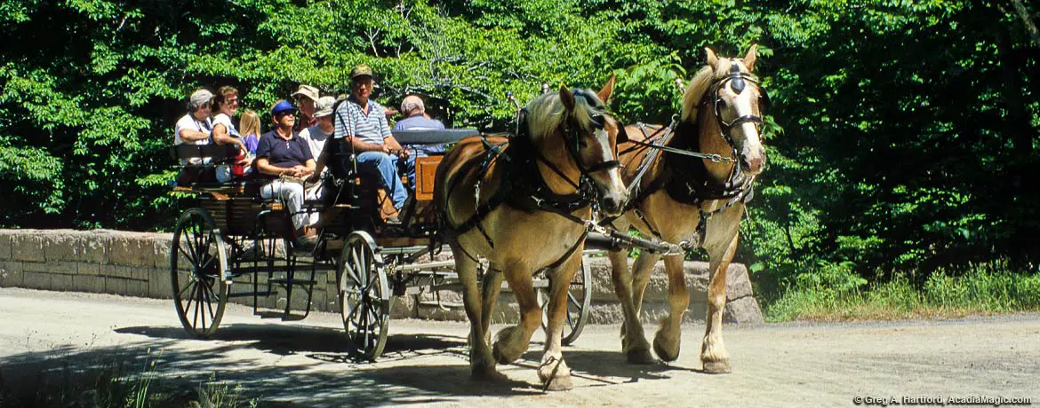 Wildwood Stables Carriage Ride