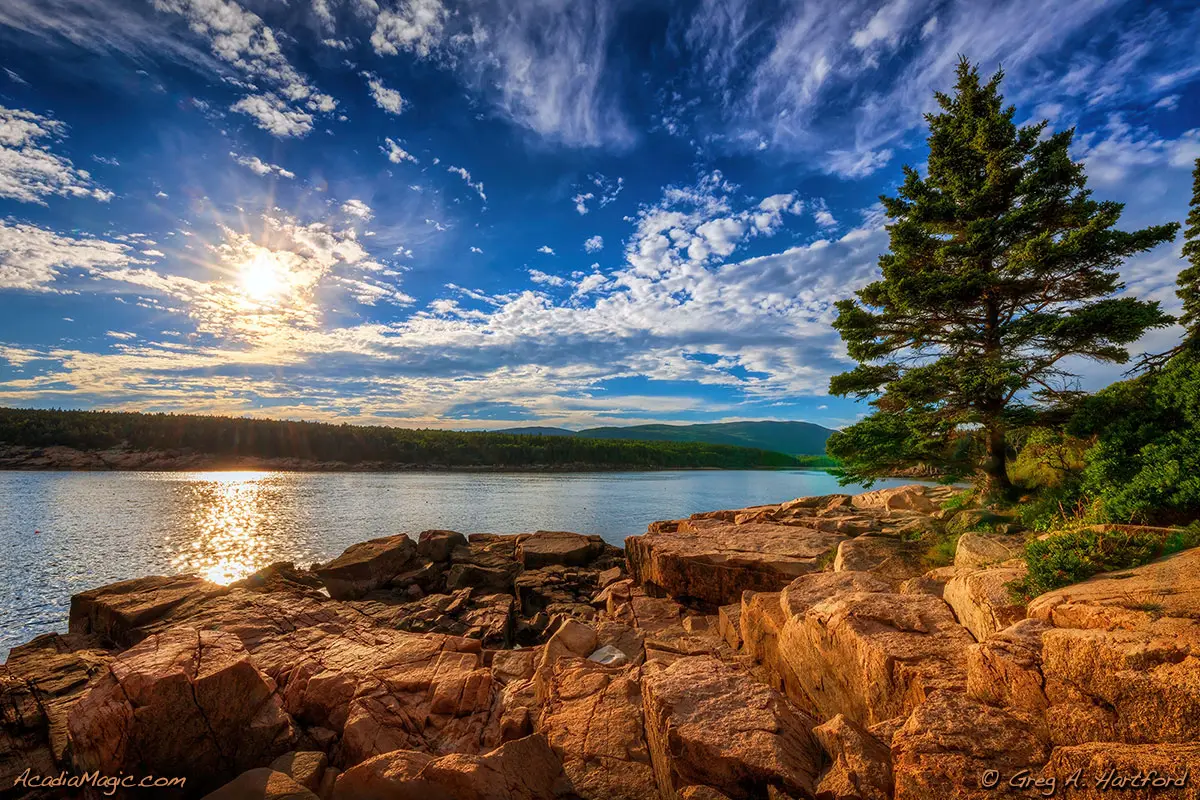 Late July at Otter Cove in Acadia National Park