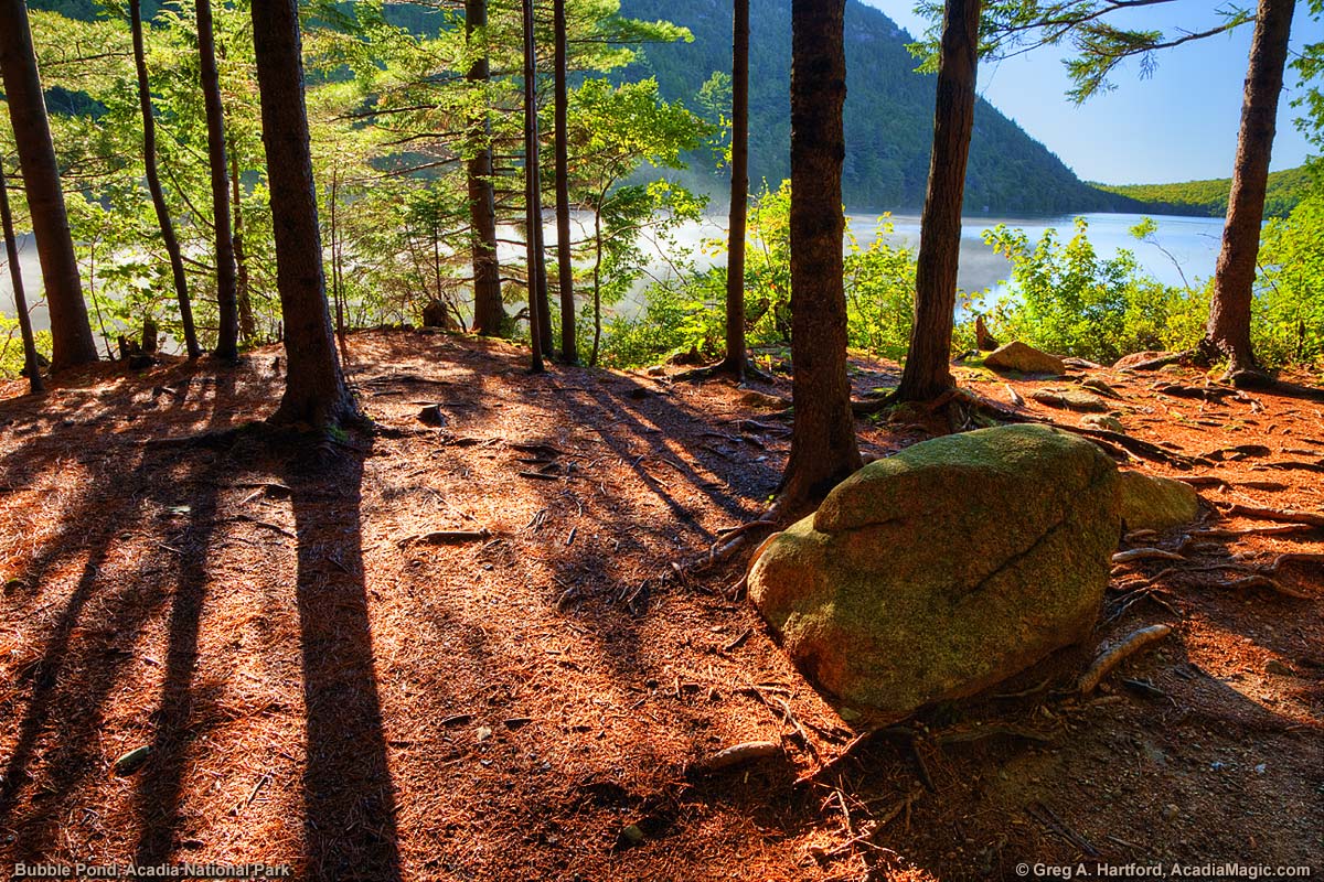 This is the view from a hiking path next to Bubble Pond in Acadia National Park.