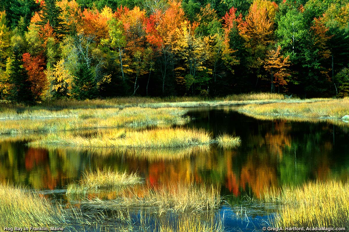 Autumn at the northern end of Hog Bay in Franklin, Maine