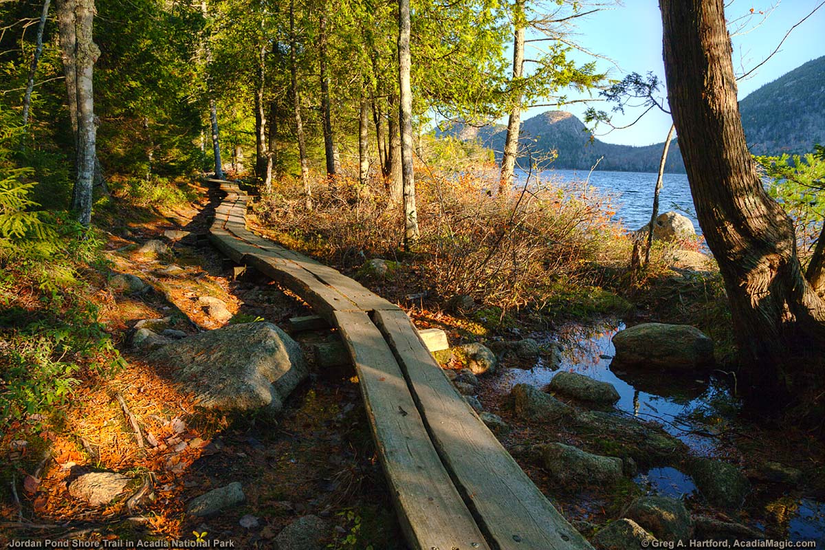 The Boardwalk of Jordan Pond Trail in Acadia
