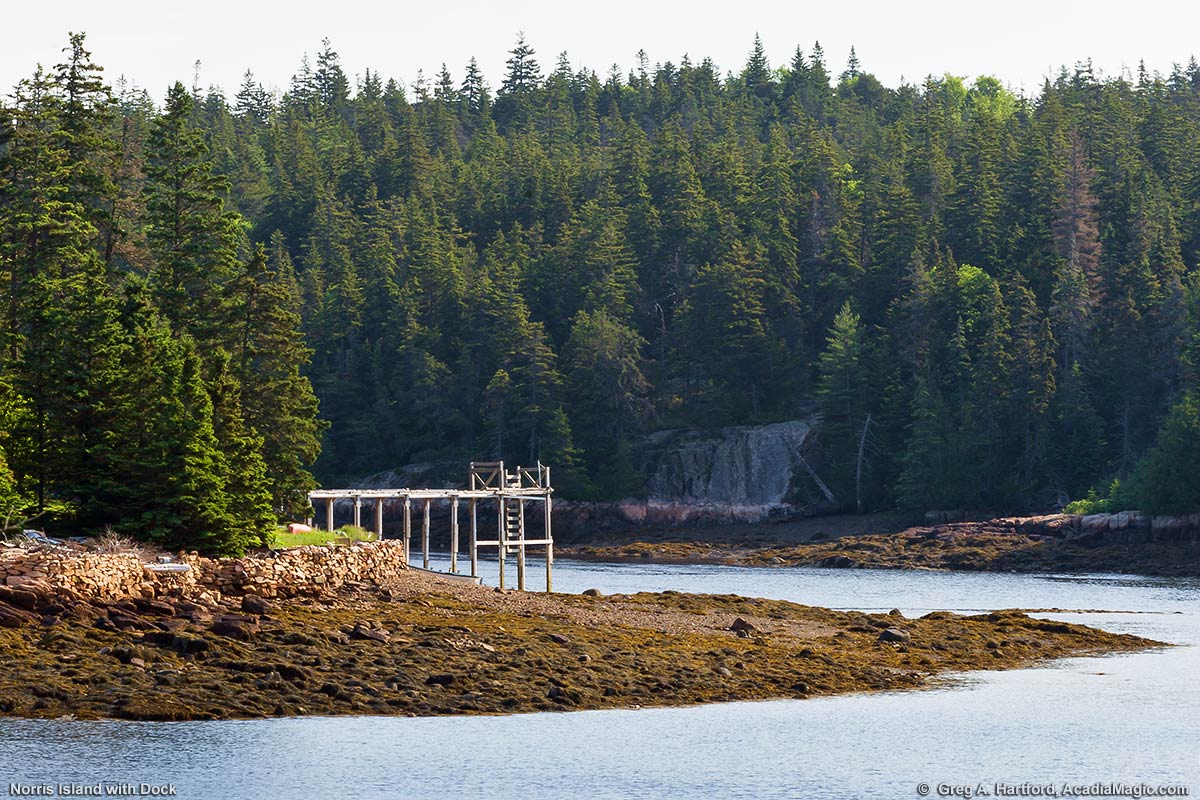 This shows Norris Island with a dock at low tide in Winter Harbor, Maine just north of Frazer Point.