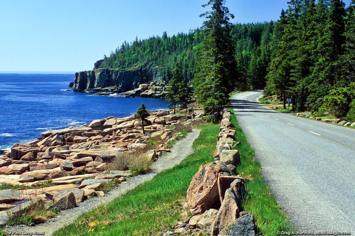 The Park Loop Road next to the Ocean Path in Acadia National Park
