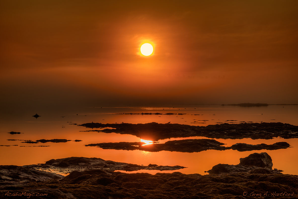 Foggy Sunrise from the shore of Thompson Island in Acadia National Park looking East toward Bar Harbor, Maine.