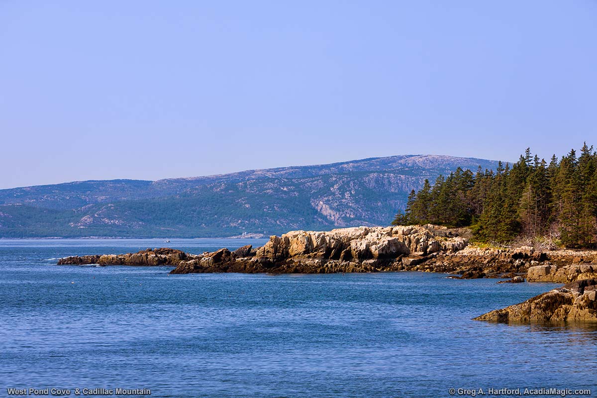 View of Cadillac Mountain from West Pond Cove at Schoodic Peninsula