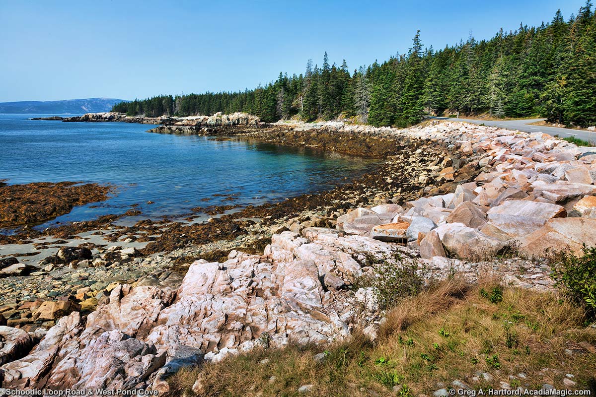 Rocky Shore at West Pond Cove next to Schoodic Loop Road