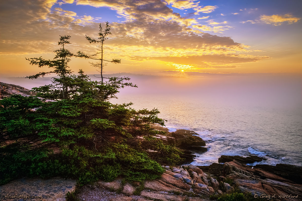 This gorgeous Acadia Sunrise was captured on July 4. It was a perfect morning for photography.