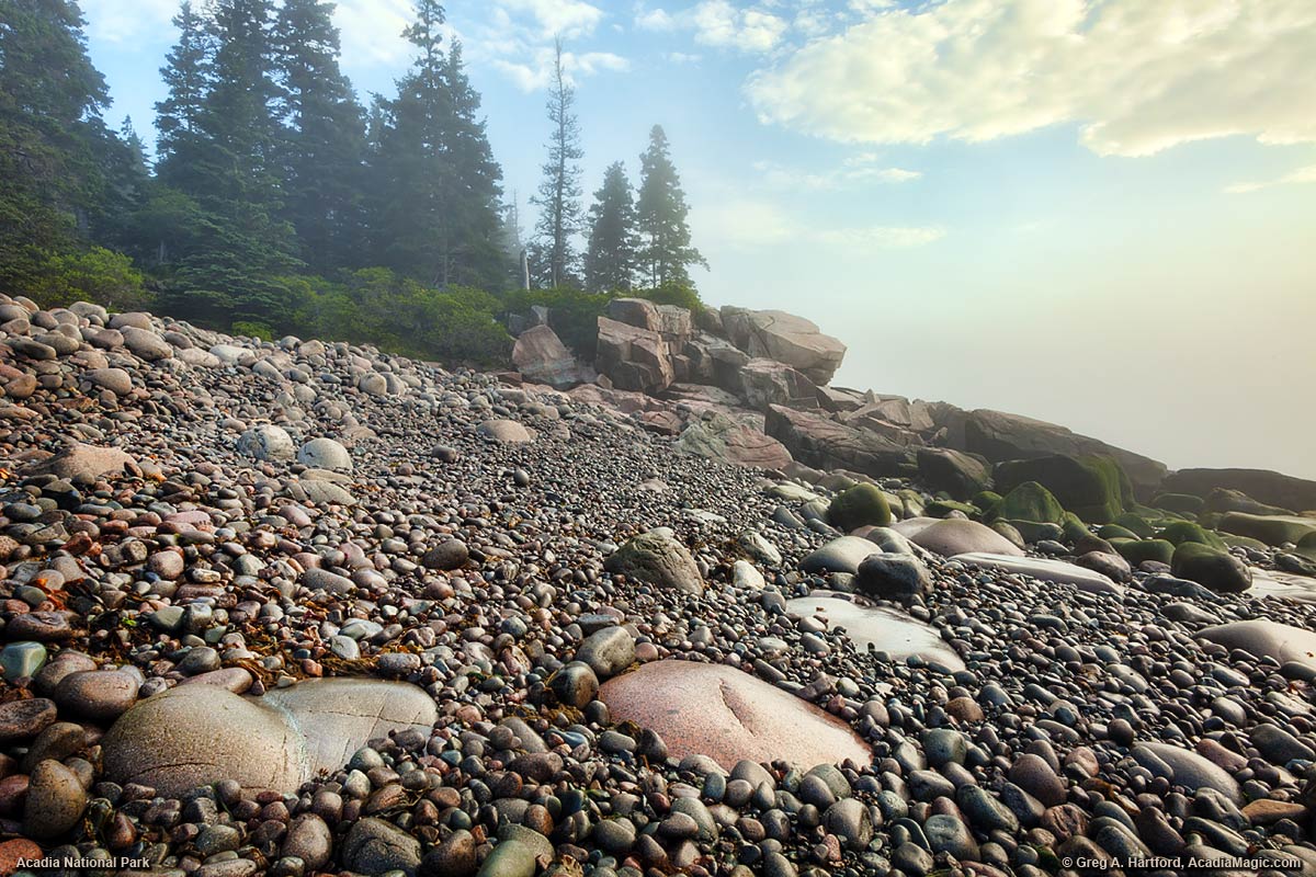 Foggy Shore in Acadia National Park, Maine
