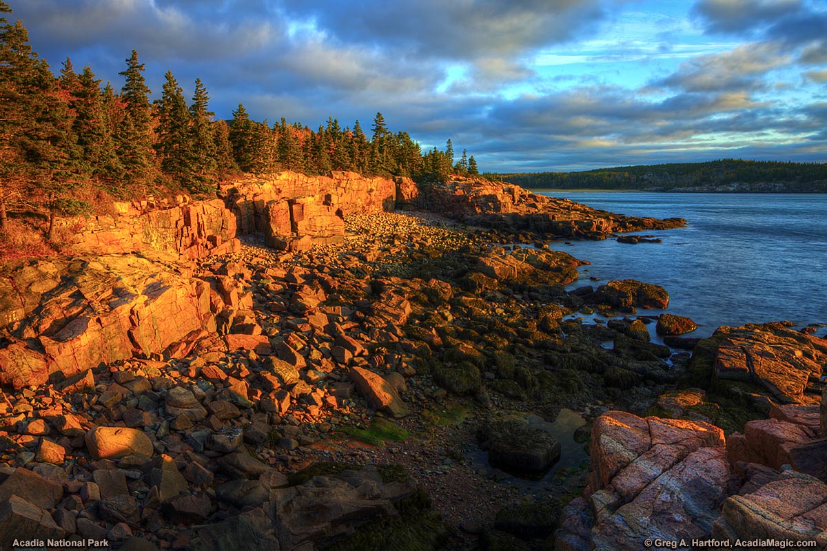 Golden Sunrise near Thunder Hole in Acadia National Park, Maine