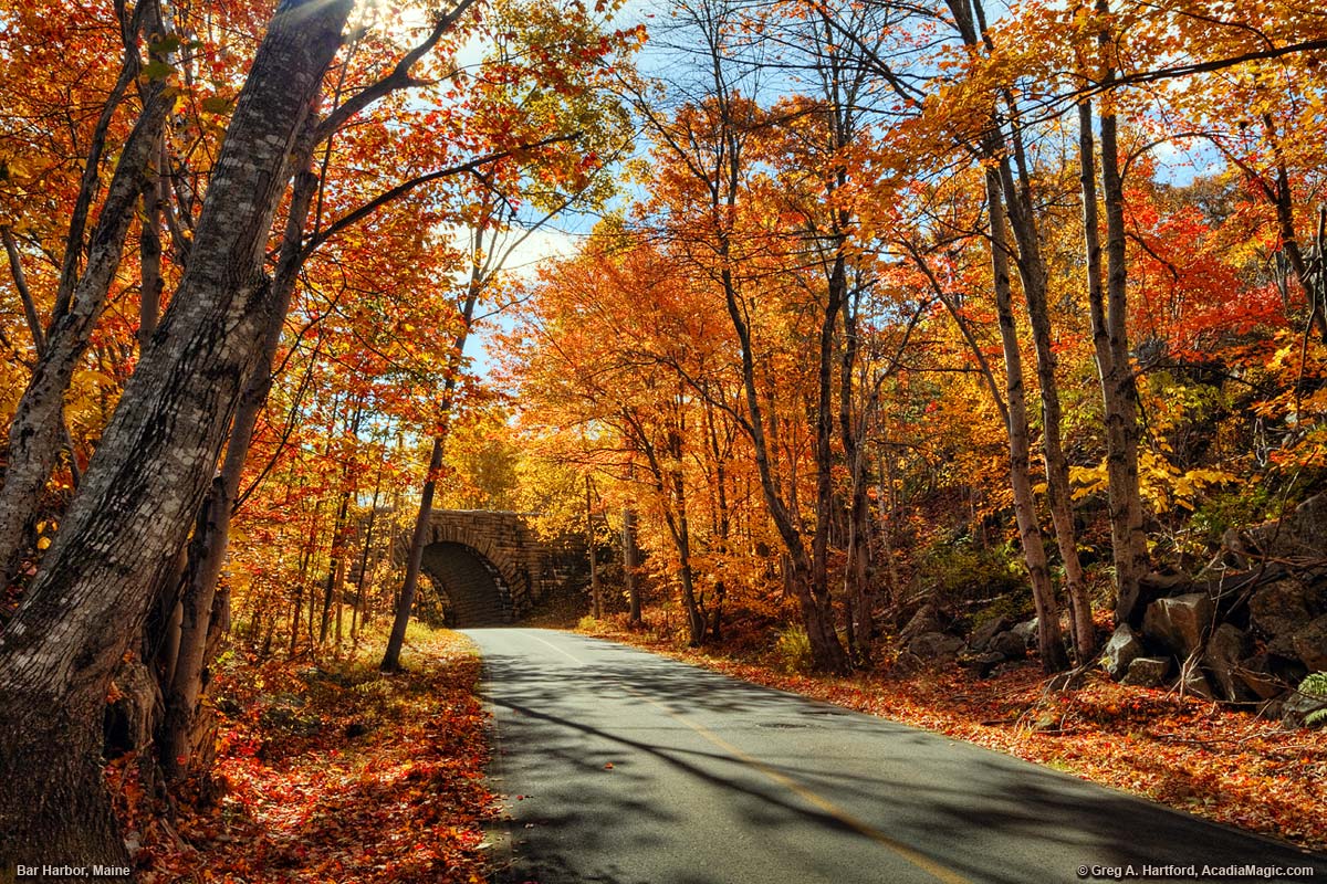 Bar Harbor Maine In Autumn Season