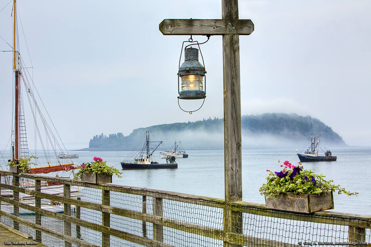 A Bar Harbor dock with flowers and fishing boats in the distance
