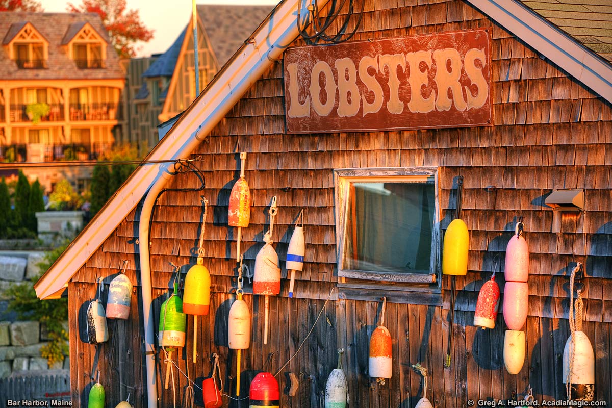 Maine lobster buoys and lobster sign in Bar Harbor
