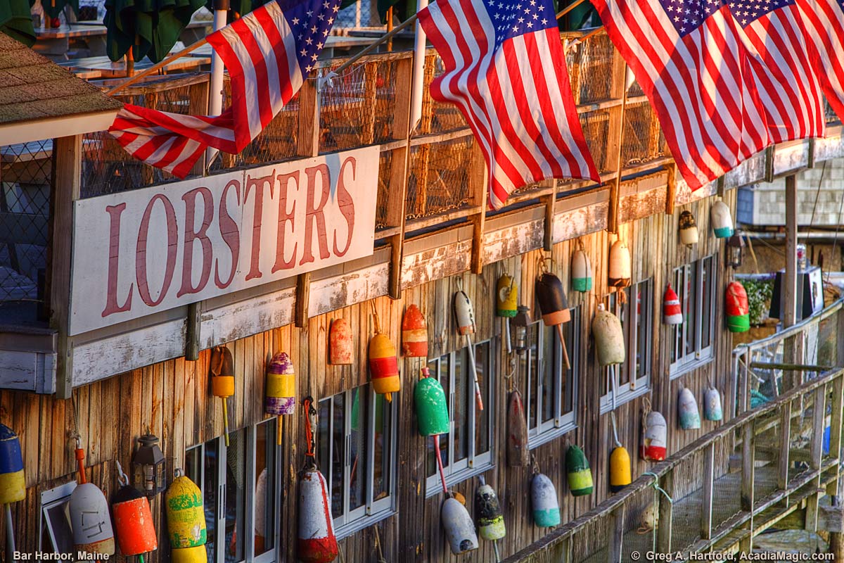 American Flags with Maine lobster buoys and lobster sign