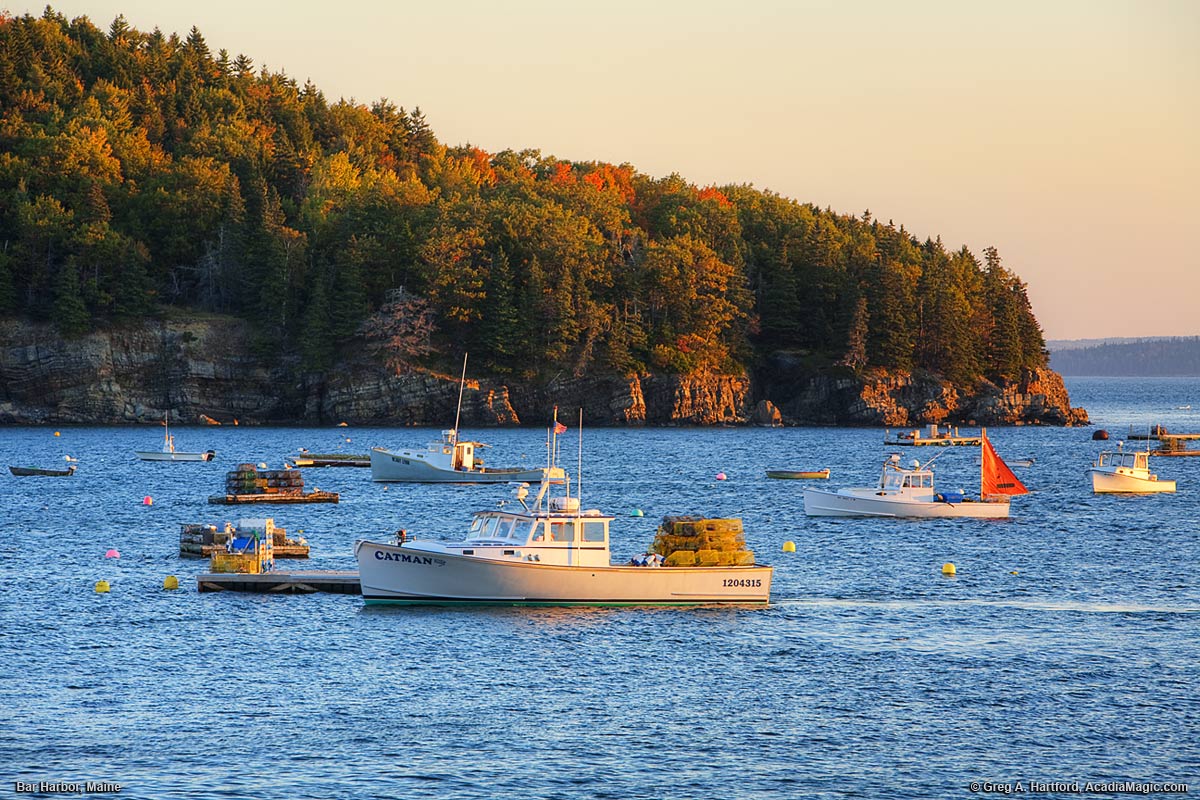 Lobster boats in Bar Harbor, Maine
