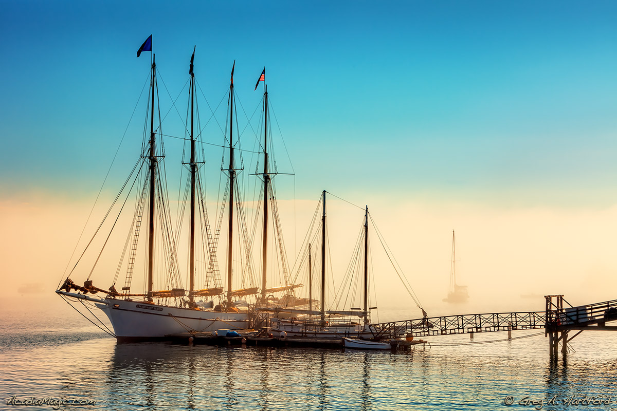 Yachts and Schooner in Bar Harbor