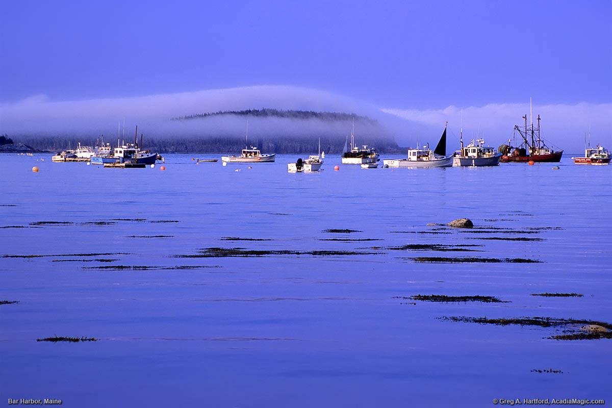 Harbor scene with lobster boats and fog over Bar Island viewed from Bar Harbor shore