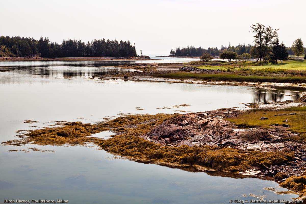 This shows Birch Harbor, Maine looking southwest across the inlet near Schoodic Peninsula.