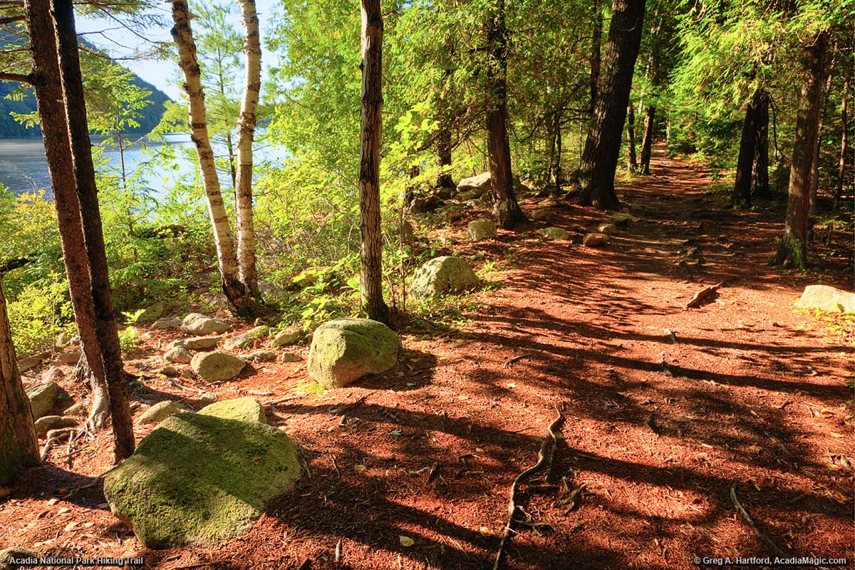 The Shore Side Hiking Trail at Bubble Pond in Acadia National Park