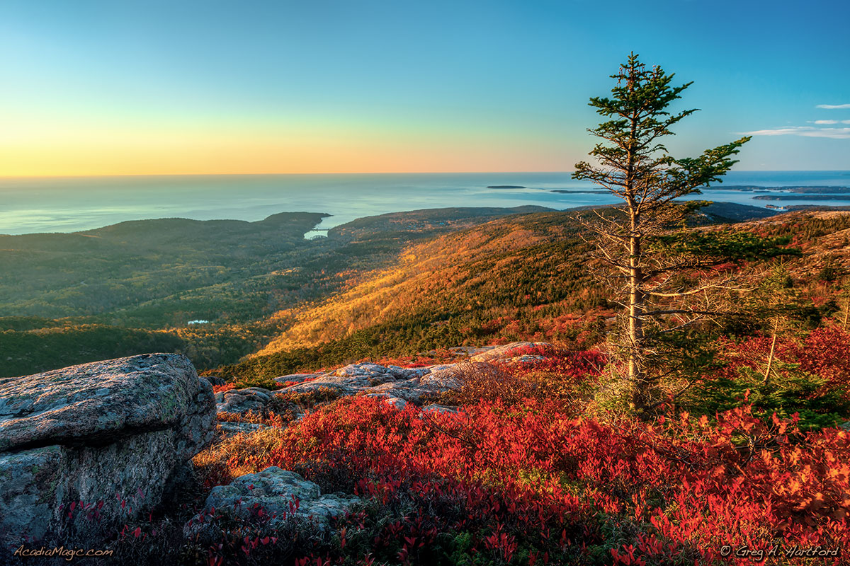 This autumn photo shows the muti-colored reds often seen during late autumn on Cadillac Mountain in Acadia National Park.