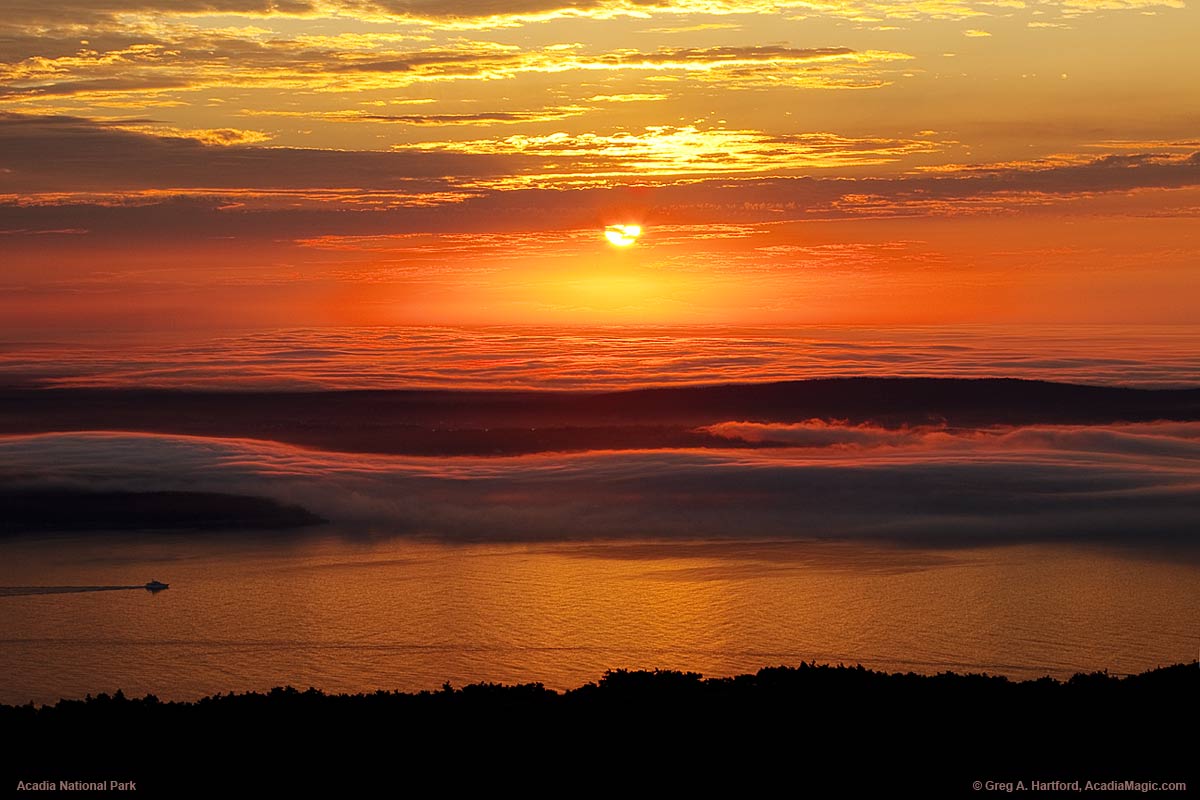 The fog is thick like a carpet over the Schoodic Peninsula as seen from Cadillac Mountain.
