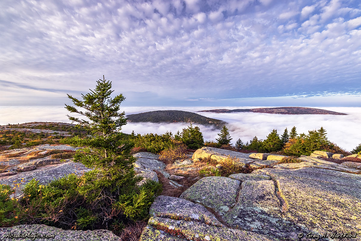 The fog was very thick this morning as seen here. This is a southwesterly view from Cadillac Mountain.